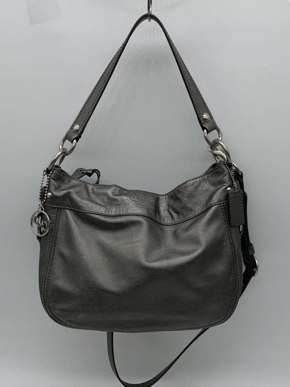 Coach Silver Metallic Leather Zoe Hobo Bag F14707